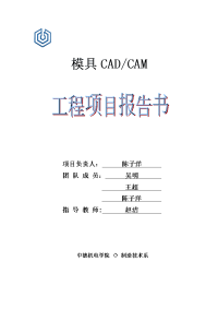 模具cacam工程项目报告书