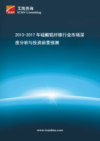 2013-2017年硅酸铝纤维行业市场深度分析与投资前景预测