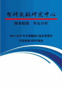 2014-2019年中国拖鞋行业前景研究与投资潜力研究报告