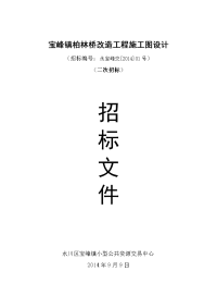 宝峰镇柏林桥改造工程施工图设计.doc