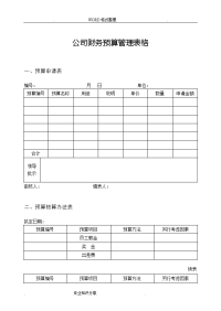 公司财务预算管理表格