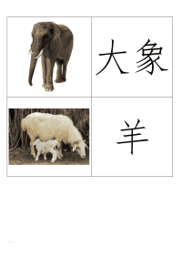幼儿动物识字卡(配图)