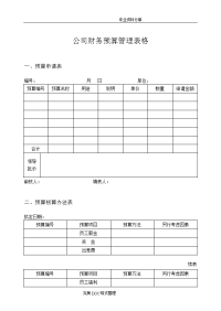 公司财务预算管理表格