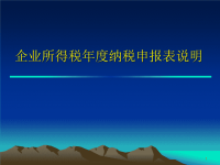 企业所得税年度纳税申报表说明