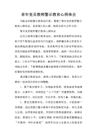 青年党员教师警示教育心得体会