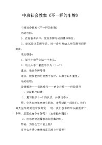 中班社会教案《不一样的车牌》