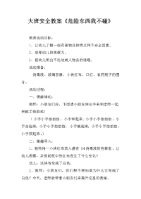 大班安全教案《危险东西我不碰》