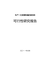 产2亿条塑料编织袋项目可行性研究报告