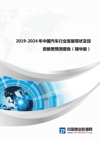 2019-2024年中国汽车行业发展现状及投资前景预测报告(精华版)目录