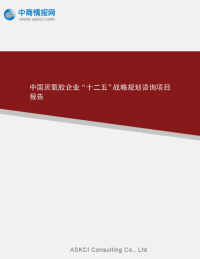 中国厌氧胶企业“十二五”战略规划咨询项目报告