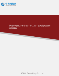 中国水电压力管企业“十二五”战略规划咨询项目报告