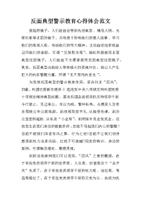 反面典型警示教育心得体会范文_1