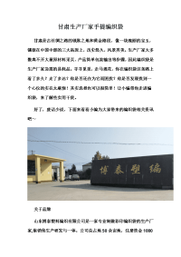 甘肃生产厂家手提编织袋.docx
