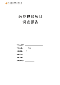 担保公司融资担保项目报告模板