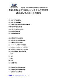 2018-2024年中国自行车行业市场发展深度调查及投资战略可行性报告