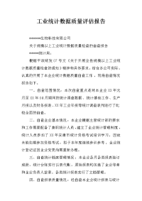 工业统计数据质量评估报告