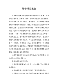 绿带项目报告