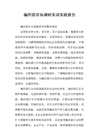 编织袋市场调研实训实践报告