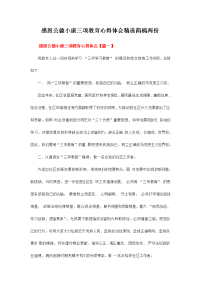 感恩公德小康三项教育心得体会精选简稿两份