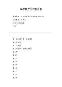编织袋安全评价报告