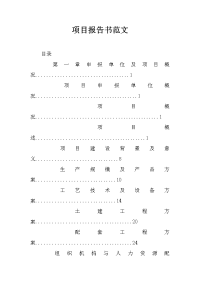 项目报告书范文