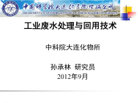 孙承林-工业废水处理技术产业化-2012年9月15日