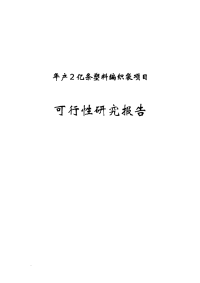 年产2亿条塑料编织袋可行性研究报告