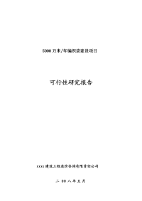 5000万米年编织袋建设项目可行性研究报告
