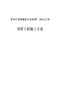 某市白龙港城市污水处理厂bst2.1标顶管工程施工方案