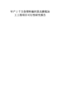 年产2千万条塑料编织袋及磨辊加工工程项目可行性研究报告
