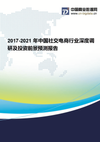 2017-2021年中国社交电商行业现状分析及前景预测报告