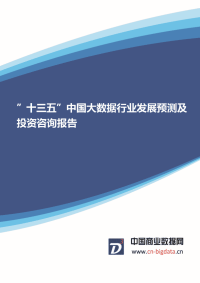 ”十三五”中国大数据行业发展预测及投资咨询报告