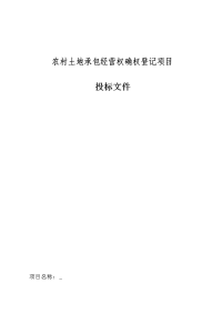 复件 农村土地承包经营权确权登记项目投标文件