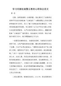 学习冯新柱案警示教育心得体会范文