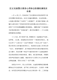 区正反面警示教育心得体会防微杜渐忧在未萌