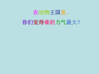 朱宛辰讲故事《蚂蚁和西瓜》绘本故事ppt