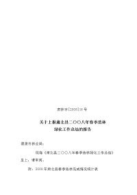 关于上报肃北县二○○八年春季造林绿化工作总结的报告.doc