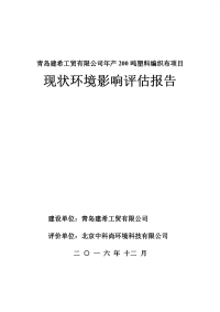 塑料编织布环评报告.pdf