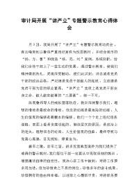 审计局开展“讲严立”专题警示教育心得体会