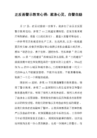 正反面警示教育心得：漱涤心灵，自警自励