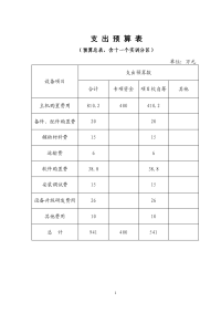 《支出预算表》word版