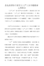 县处级领导干部学习三严三实专题教育心得体会