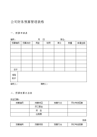 新公司财务预算管理表格