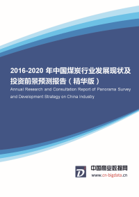 2016-2020年中国煤炭行业发展现状及投资前景预测报告(精华版)(目录)