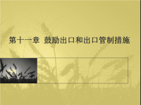 鼓励出口和出口管制措施（2）ppt培训课件