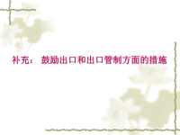 补充鼓励出口及出口管制方面的措施ppt培训课件