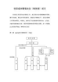 项目成本管理办法文档及各流程图