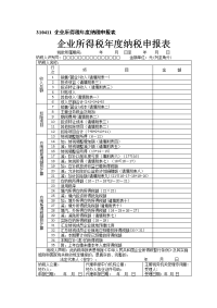 310411企业所得税纳税申报表