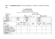 个人所得税纳税申报表式样适