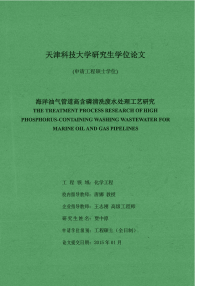 海洋油气管道高含磷清洗废水处理工艺研究